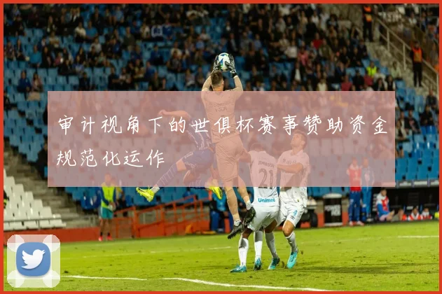 审计视角下的世俱杯赛事赞助资金规范化运作