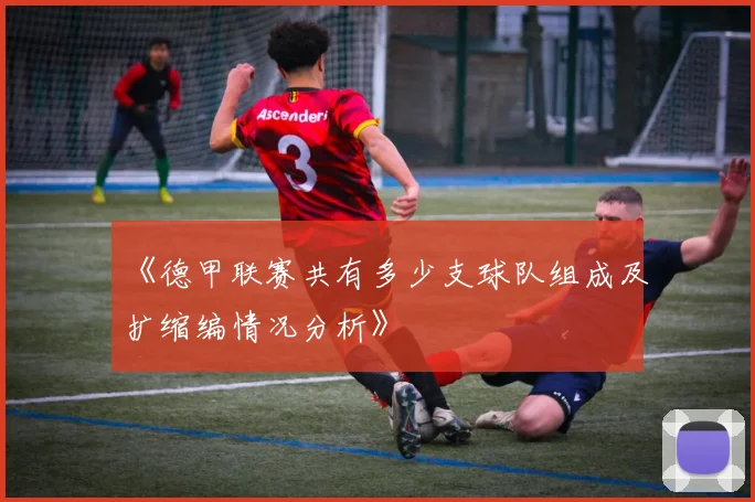 《德甲联赛共有多少支球队组成及扩缩编情况分析》