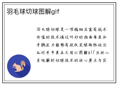 羽毛球切球图解gif